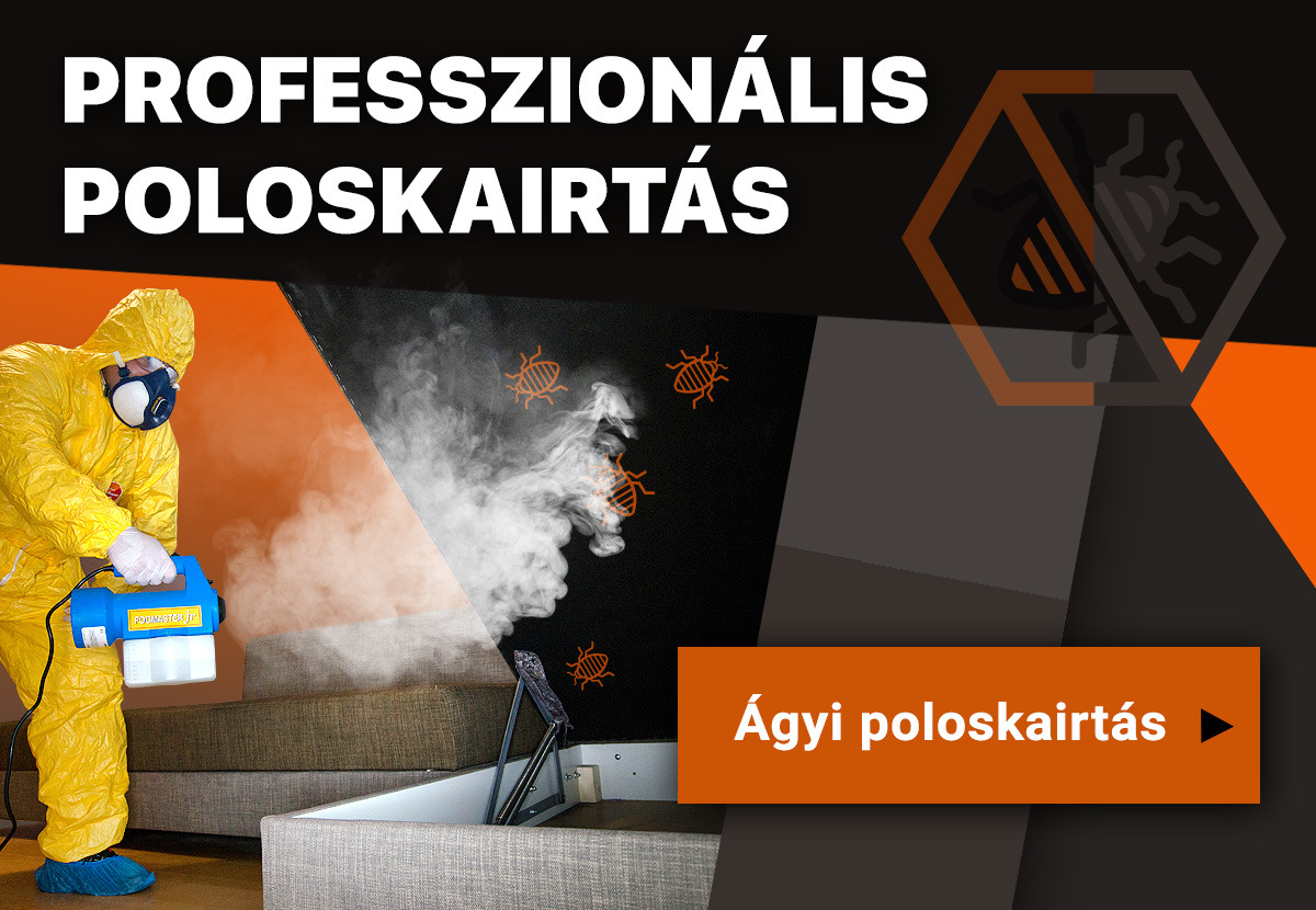 Poloskastop - Professzionális poloskairtás